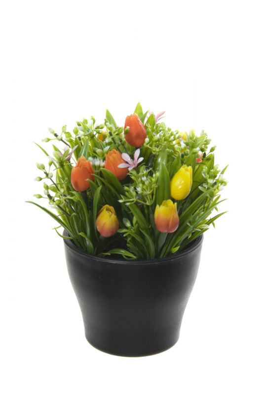 Mix tulipan en maceta alt 17cm color naranja