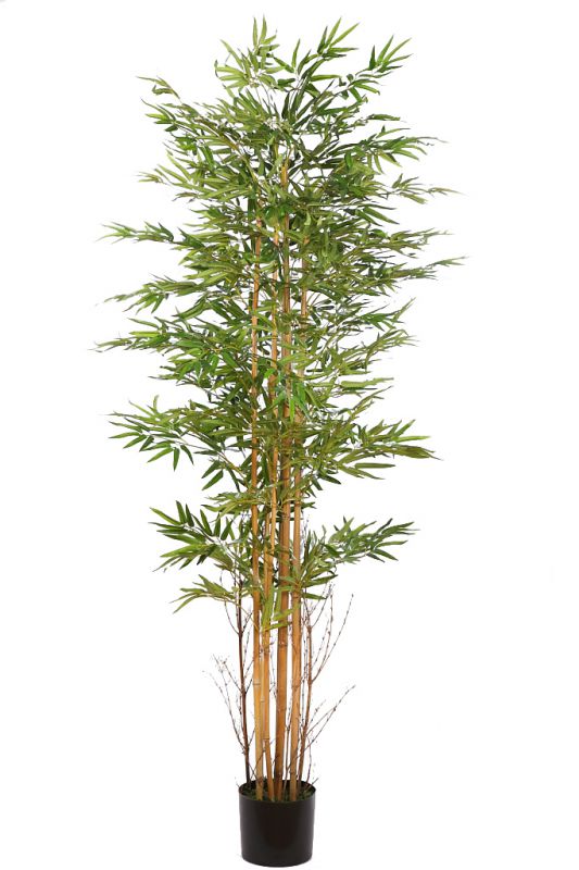 Arbol bambu artificial en maceta alt 190cm ancho 80 cm