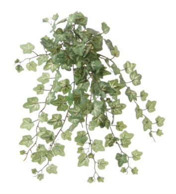 Planta hiedra colgante color verde altura 38cm