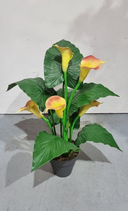 Planta de calas artificiales amarillas 70x65cm