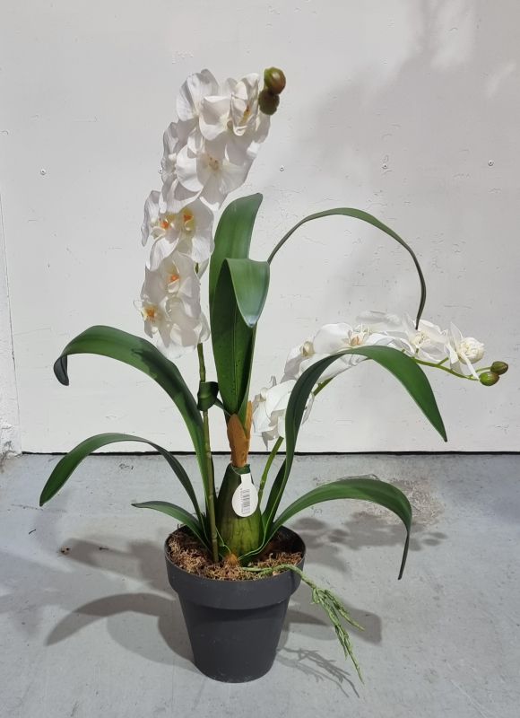 Planta de 2 orquídeas artificiales en color blanco 70cm x 60cm