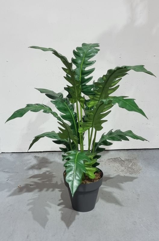 Planta philodendron artificial 70cm x 60cm