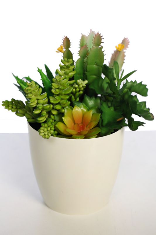Maceta cactus y crasas artificial 23cm