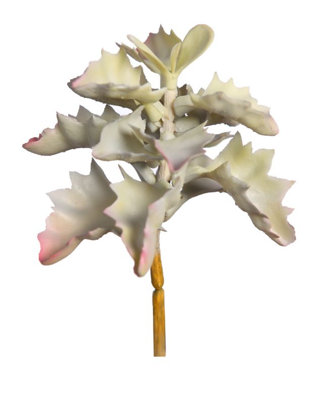 Planta suculenta shaviana artificial 14cm