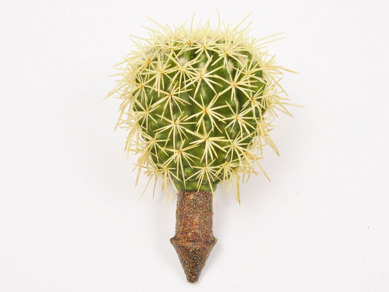 Cactus color verde sin maceta alt 21,5cm