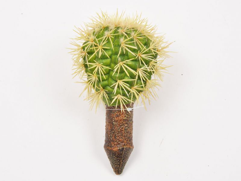 Cactus color verde sin maceta alt 17,5cm