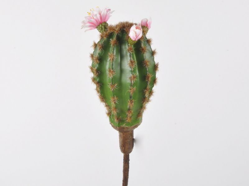 Pick cactus color verde oscuro con flores 
