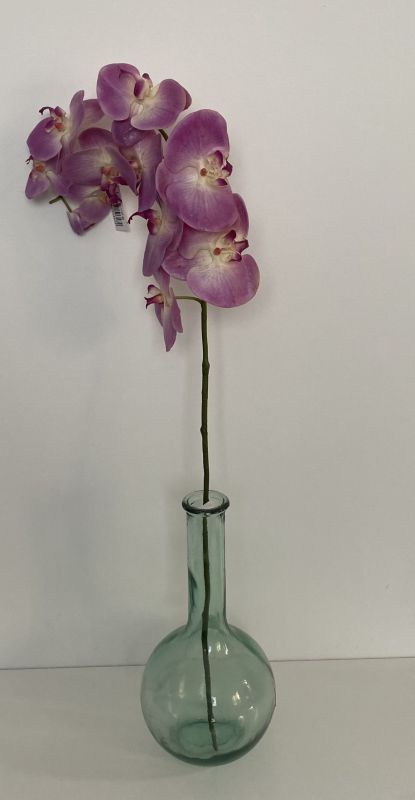 Phalaenopsis 97cm