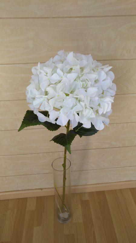 Vara hortensia hydrangea alt 110cm ancho 35cm color blanco