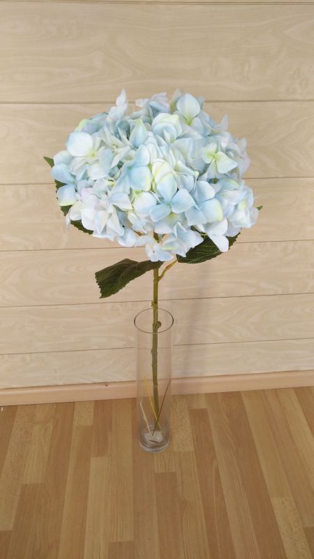 Vara hortensia hydrangea alt 110cm ancho 35cm color azul claro