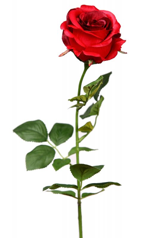Vara rosa artificial 70cm rojo