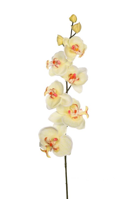 Vara orquidea 62cm