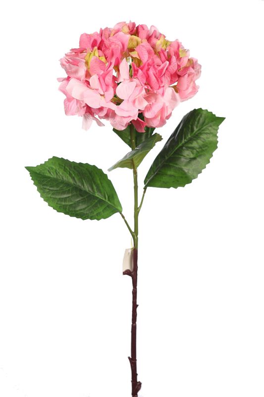 Vara hortensia rosa 80x20cm