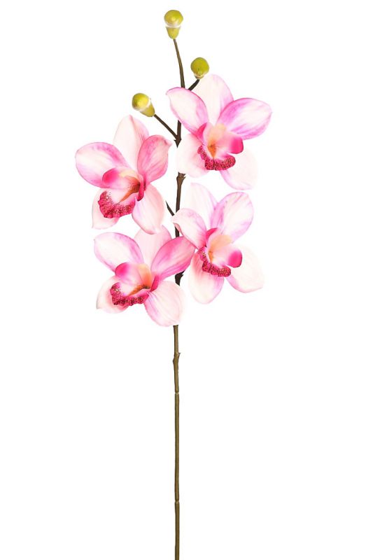 Vara orquidea cymbidium 60 cm