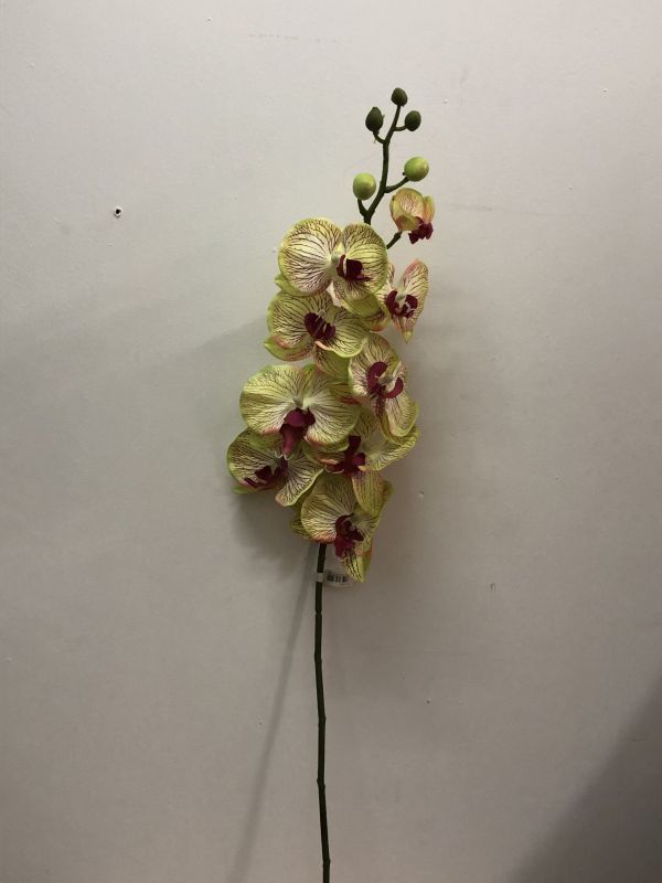 Vara orquídea phalenopsis alt 100cm