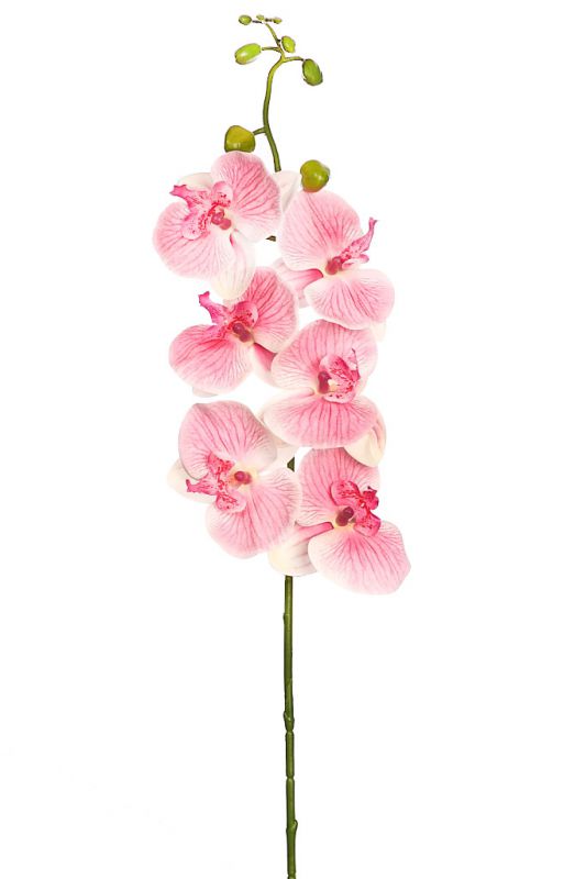 Vara orquidea nature 80cm rosa