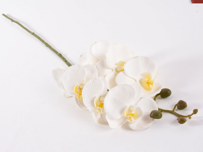 Spray orquídea blanco 75cm