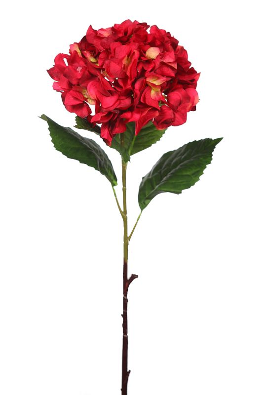 Vara hortensia rojo 80x20cm