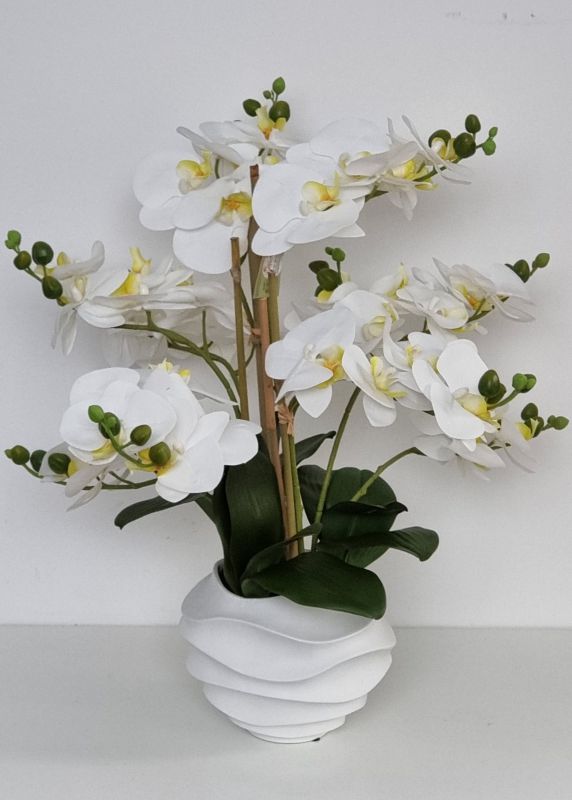Orquidea blanca en maceta de resina de color blanco. tiene 10 varas de