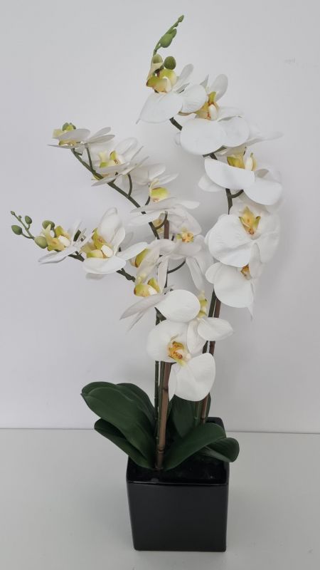 Orquidea blanca en maceta de cerámica negra.  tiene 3 varas de orquid