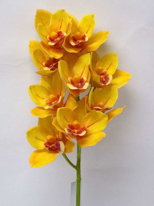 Vara de orquidea color amarillo