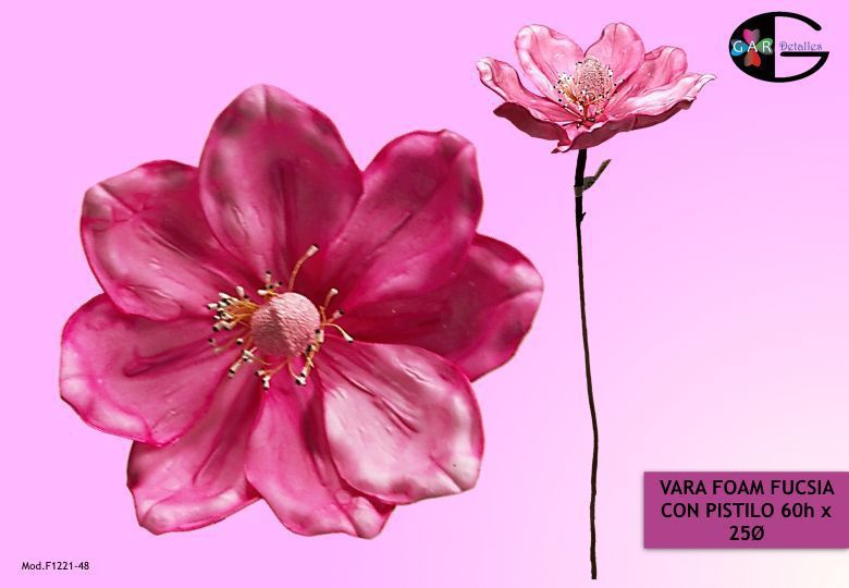 -magnolia stem/8 double