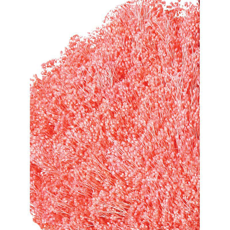 Pomo broom 200gr color rosa