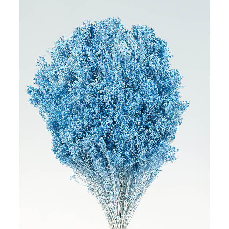 Pomo broom 200gr color azul