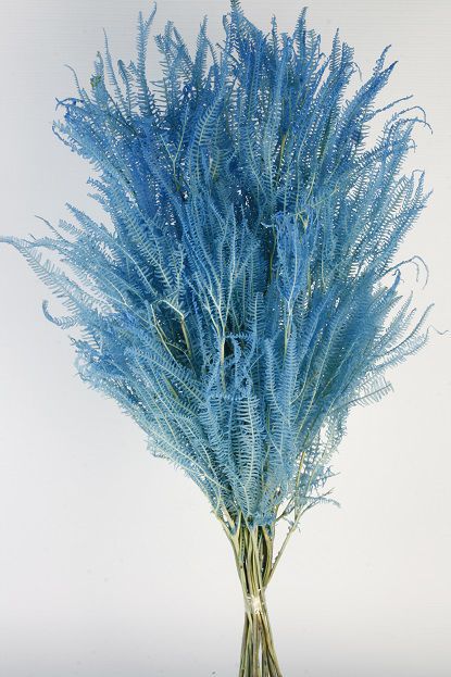 Helecho preservado 80cm color azul