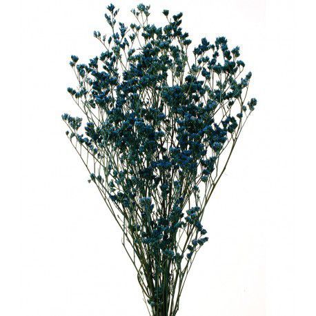 Limonium preservado 70cm color azul
