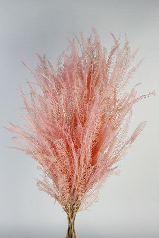Helecho preservado color rosa 80cm