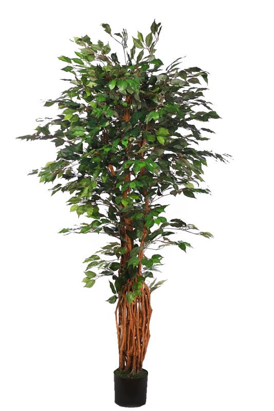 Ficus artificial en maceta alt 190 cm ancho 100 cm