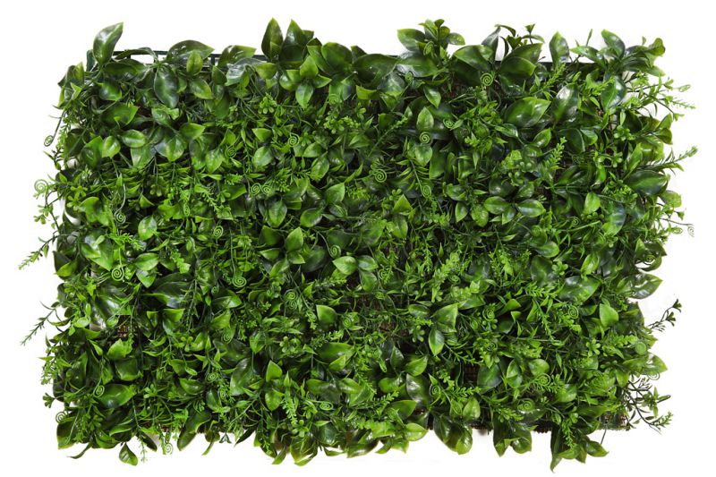 Placa vegetal hojas y brotes 60cmx40cm