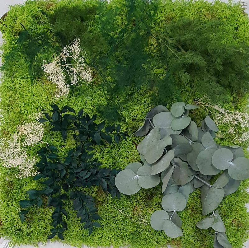 Placa jardin vertical de musgo sintético con preservados de 50cm x 50
