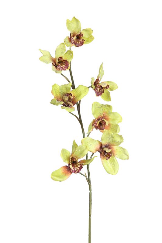 Vara orquidea brillo 70cm
