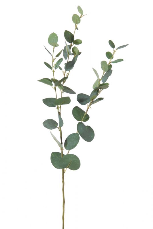 Vara eucalipto alt 78cm color verde