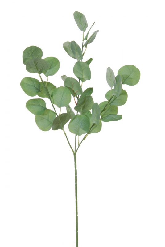 Vara eucalipto 65cm color verde