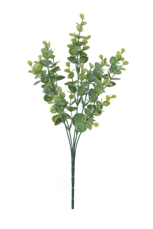 Piquet de eucalipto 34cm alt color verde