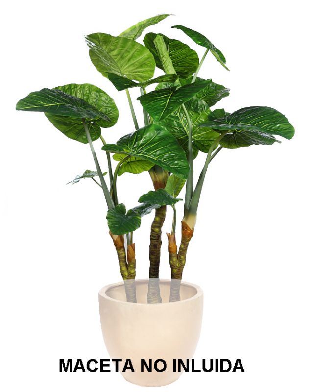 Planta colocasia taro artificial 235cm alto 180cm ancho