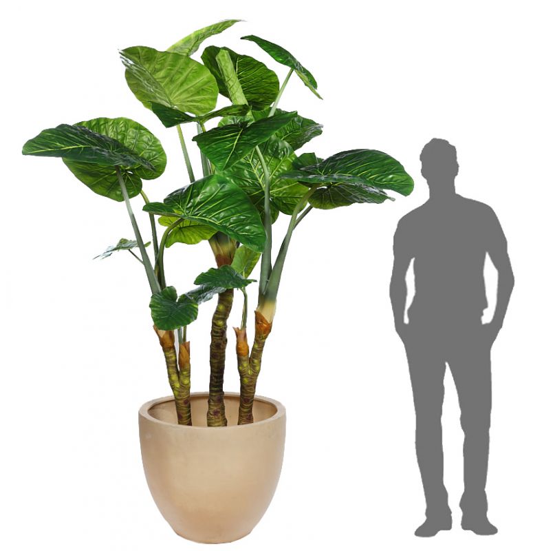 Planta colocasia taro artificial con maceta 235cm alto 180cm ancho