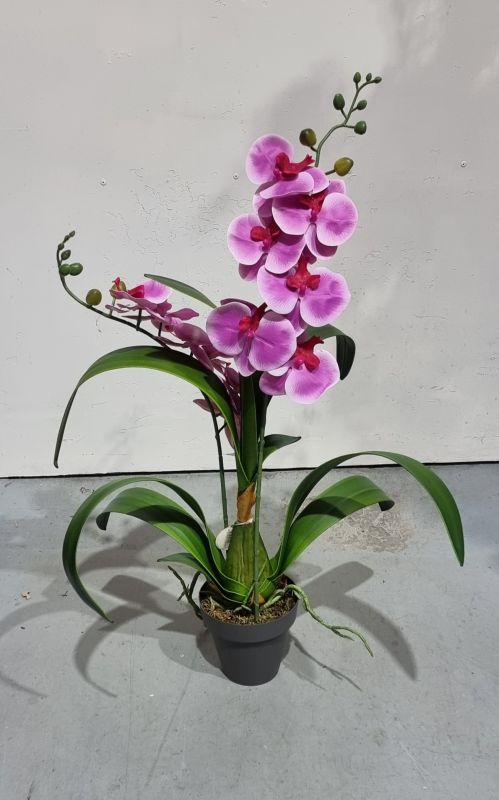 Planta de 2 orquídeas artificiales en color fucsia 70cm x 60cm